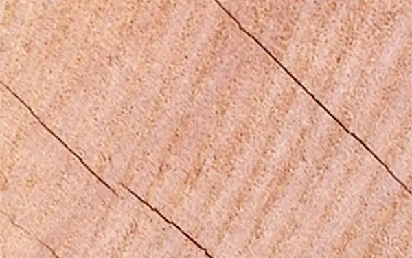 Maderas duras y blandas - Tipos de madera - TIMGAD